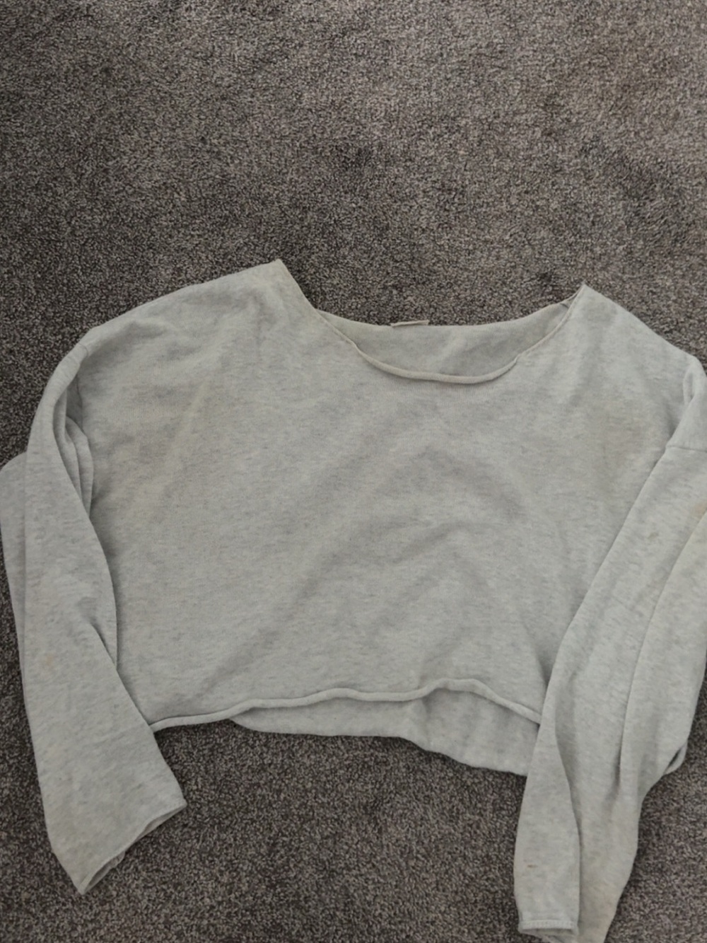 Brandy Melville Light Gray Long Sleeve Crop Top